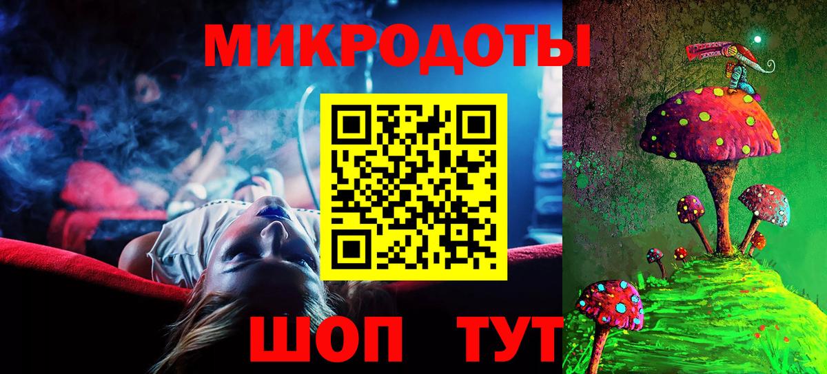 Галлюциногенные грибы Psilocybine cubensis Минусинск