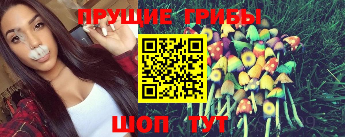 Минусинск  наркотики  Вход с VPN  Галлюциногенные грибы GOLDEN TEACHER 